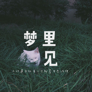 U蓝主打青涩奶狗仙气正太安装包
